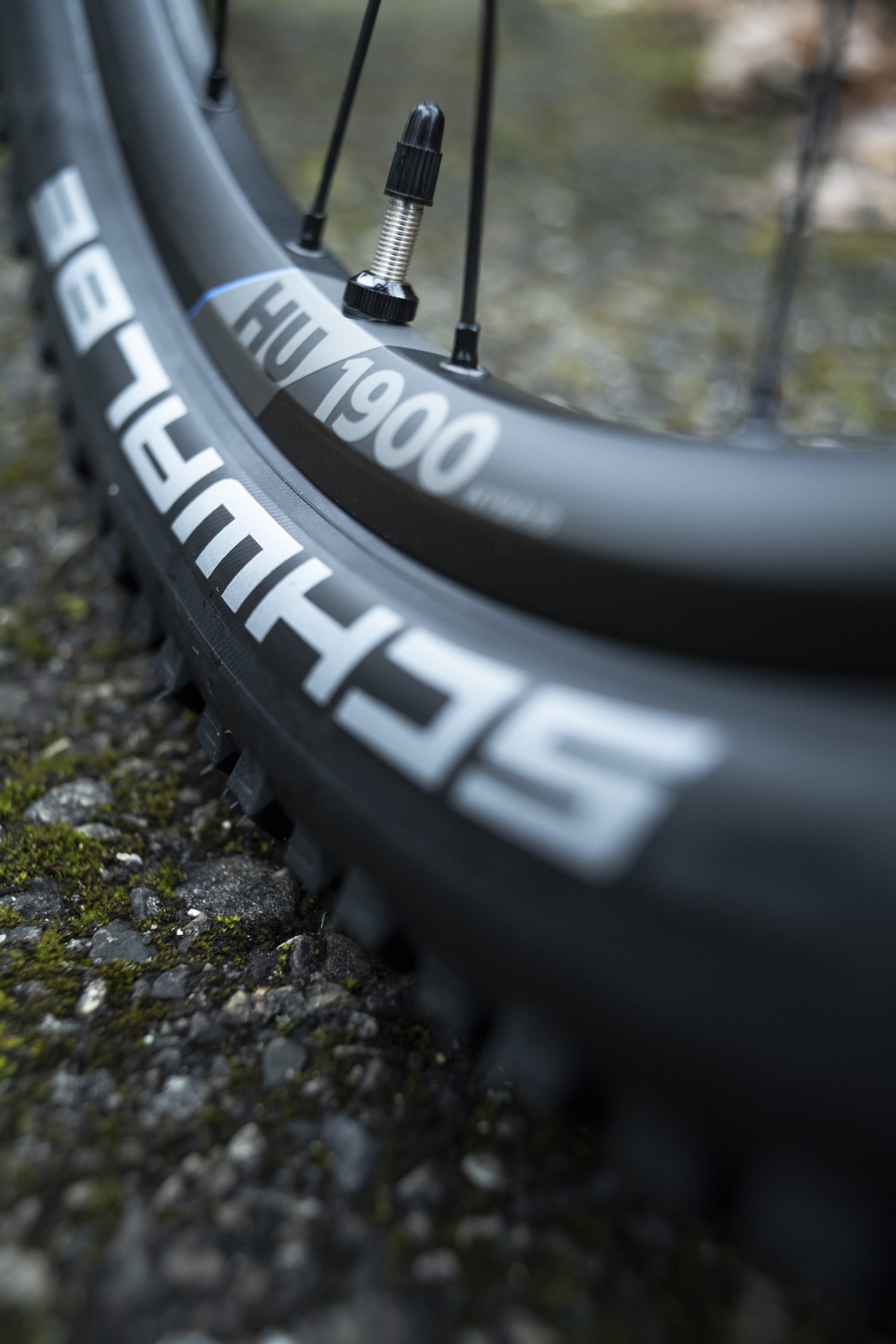 DT Swiss lance de nouvelles roues pour vélos électriques capables de supporter jusqu'à 180 kilos de charge